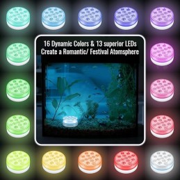 Baseino šviestuvai, LED apšvietimas baseino šviestuvams su 2 pulteliais, 4 vnt