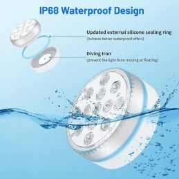 Baseino šviestuvai, LED apšvietimas baseino šviestuvams su 2 pulteliais, 4 vnt