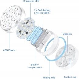 Baseino šviestuvai, LED apšvietimas baseino šviestuvams su 2 pulteliais, 4 vnt