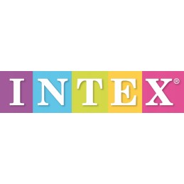 Vandens baseino kvadratinė dinozaurų čiuožykla intex 57444