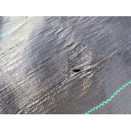 Agrotkanina kilimėlis nuo piktžolių su inkarais