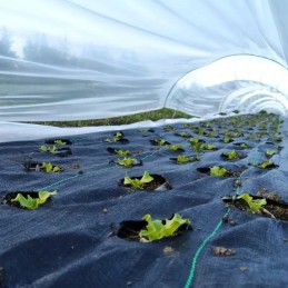 ⭐antipiktžolių agrotekstilė agrotekstilė 1,6x50m 70g⭐