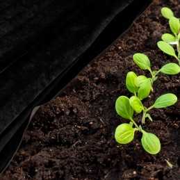 Juoda nuo piktžolių agrotekstilė 50g/m2