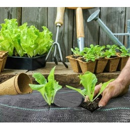 Agrotekstilės kilimėlis nuo piktžolių 1x50m 70g agrotekstilės ankeriai (50vnt)