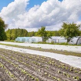 ⭐⭐Spyruoklinė danga, kvėpuojanti, lengva augalams, agrotekstilė 3,2x20m⭐⭐