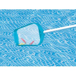 Baseino valymo rinkinys, dulkių siurblys, tinklo lazdelė