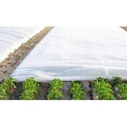 Balta žieminė rudens agrotekstilė 50 g uv p-50 1,6x1m storio!!!