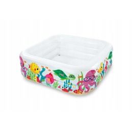 Žuvų baseinas akvariume dėžutėje 159x159x50cm 57471np intex