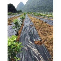 Agrotkanina 1 1x50m piktžolėms uv 80 agrowwoknina