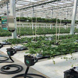 Agrotkanina 1 1x50m piktžolėms uv 80 agrowwoknina