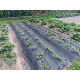 Agrotkanina 1 1x50m piktžolėms uv 80 agrowwoknina