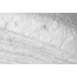 Balta geotekstilė 200g/m2 0,5x50m