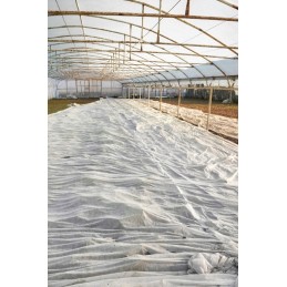 Žieminė agrotekstilė, balta, stora danga, apsauginiai krūmai, 20x3,2 m