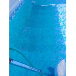 Dulkių siurblys su šepečiu ir tinklu baseino valymui