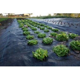 Be inkarų agro audinys anti piktžolių agro audinys 70g juoda 0 8 x100 uv