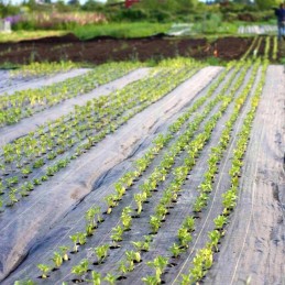 Be inkarų agro audinys anti piktžolių agro audinys 70g juoda 0 8 x100 uv