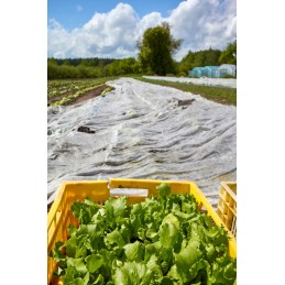 Žieminė agrotekstilė, balta, stora danga, apsauginiai krūmai, 20x3,2 m