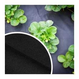 Premium juoda agrotekstilė 110 x 100 cm geodangtis p 80g/m2