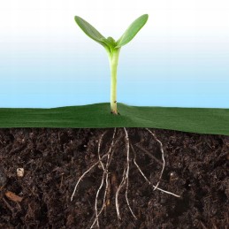 Agrowwoven garden 1 6 mx 50 m 100 pins plonos green