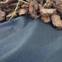 Agrotekstilė verve 1 x 30 m 80 g