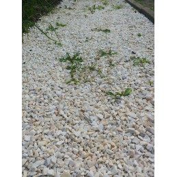 Agrotextile black sunrise standartiniai uv70 kaiščiai