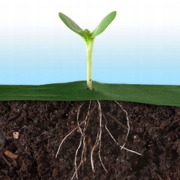 Plonos sodo agrotekstilė 1,6 m x 50 m + 100 smeigtukų