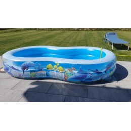 Pripučiamas žuvų baseinas 262 x 157 x 46 cm bestway