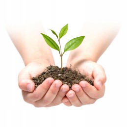 Agrowwoven garden 1 6 mx 50 m 100 pins plonos green