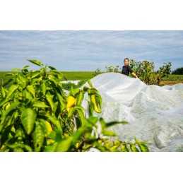 Balta agrotekstilė 1,5m 15g UV 10m bellushortus