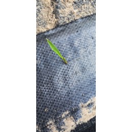 Agrotaudinis 0,8m x 100m, 90g UV kilimėlis, itin tvirtas