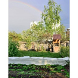 Išaugintas audinys baltas 1 6m 100g uv 45m bellushortus