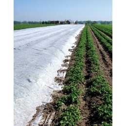 Jūsų balta agrotekstilė 1,6m x 10m spyruoklė 17g