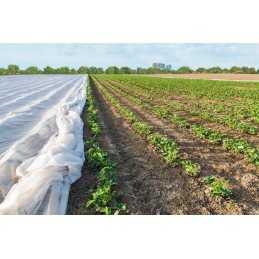 Jūsų balta agrotekstilė 1,6m x 10m spyruoklė 17g