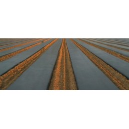 Agrowwoven audinys bradas juodas 1 1x100m 50 g m2 ritinys