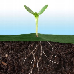 Sodo agrotekstilė 1,6x50m UV piktžolių kilimėlis 100 kaiščių UV žalia