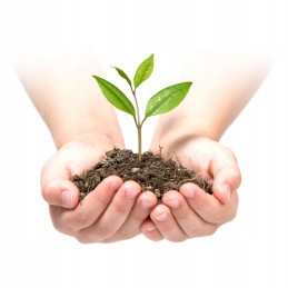 Sodo agrotekstilė 1,6x50m UV piktžolių kilimėlis 100 kaiščių UV žalia