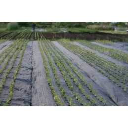 Agrotkanina mulčiavimo kilimėlis nuo piktžolių