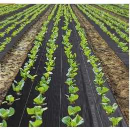 Agrotkanina mulčiavimo kilimėlis nuo piktžolių