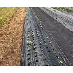 Agrotkanina mulčiavimo kilimėlis nuo piktžolių