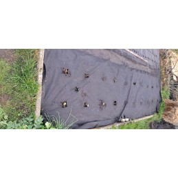UV agrotekstilė p-100g/m2 1,6x15m juodos storio!!!