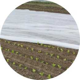 Balta agrotekstilė 110 x 1000 cm 17 g/m² 🪴