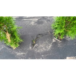 Plonos sodo agrotekstilė 0,8 m x 100 m + 100 smeigtukų