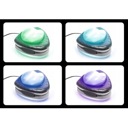 Intex 28698 LED magnetinė baseino lempa