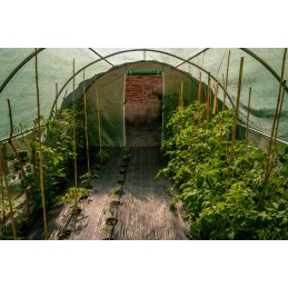 Juoda agrotekstilė 1,6 x 50 m, 70 g/m2