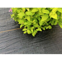 Agrotkanina 1,1x50m 90g juoda UV agrotekstilė 3% nuo piktžolių + kaiščiai