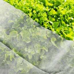 ☘️Agrotekstilės spyruoklinis kilimėlis 17g storio tvirtas atsiliekantis 5x1,6m balta danga☘️