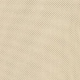 Žiemos apsauginis gaubtas augalams, apsauga nuo šalčio, 70g/m², 3,14x2,5m