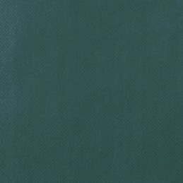 Žiemos apsauginis gaubtas augalams, apsauga nuo šalčio, 70g/m², 3,14x2,5m