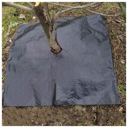 Juoda agrotekstilė 80cm x 100m 70g/m² mulčiavimui