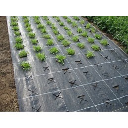 Juoda agrotekstilė 70 g/m² 0,8 x 100 m ilgio